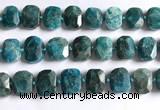 CNG5789 15.5 inches 13*18mm - 15*20mm faceted freeform apatite beads