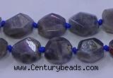 CNG5790 10*12mm - 10*14mm faceted freeform labradorite beads