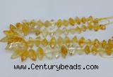 CNG5825 15.5 inches 8*18mm - 13*30mm freeform citrine beads