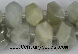 CNG5832 15.5 inches 12*16mm - 15*20mm faceted nuggets moonstone beads