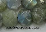 CNG5874 15.5 inches 8*12mm - 12*16mm faceted freeform labradorite beads