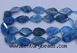 CNG5960 15.5 inches 18*25mm - 25*35mm faceted freeform apatite beads