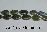 CNG7098 25*35mm - 35*45mm faceted freeform labradorite beads