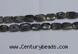 CNG7487 15.5 inches 18*25mm - 20*30mm faceted freeform labradorite beads