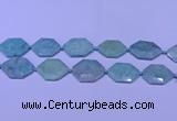 CNG7512 15.5 inches 25*35mm - 30*40mm faceted freeform amazonite beads