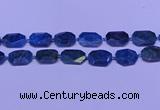 CNG7533 15.5 inches 18*25mm - 25*35mm faceted freeform apatite beads