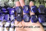CNG7562 15.5 inches 18*25mm - 20*28mm faceted freeform sodalite beads
