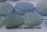 CNG7574 15.5 inches 10*14mm - 13*18mm freeform aquamarine beads