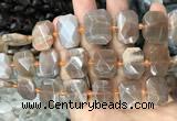 CNG7766 13*18mm - 15*25mm faceted freeform orange moonstone beads