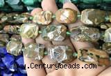 CNG7818 15.5 inches 13*18mm - 18*25mm faceted freeform rhyolite beads