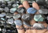 CNG7820 15.5 inches 13*18mm - 18*25mm faceted freeform labradorite beads