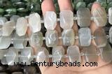 CNG7881 13*18mm - 15*25mm faceted freeform moonstone beads