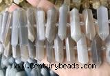 CNG7934 15.5 inches 10*22mm - 12*45mm faceted nuggets moonstone beads