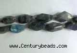 CNG7964 15.5 inches 15*25mm - 20*40mm nuggets labradorite beads