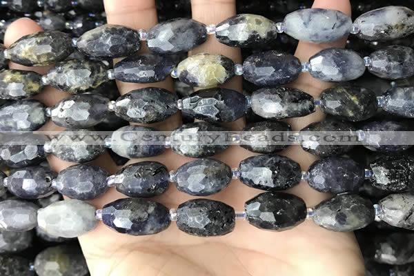 CNG8521 15.5 inches 10*16mm - 11*20mm faceted nuggets iolite beads