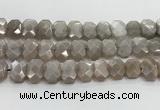 CNG8615 10*13mm - 12*16mm faceted freeform moonstone beads