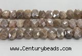 CNG8617 10*13mm - 12*16mm faceted freeform AB-color moonstone beads