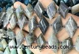 CNG8646 13*20mm - 15*25mm faceted freeform labradorite beads