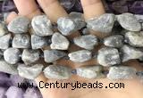 CNG8661 15.5 inches 12*16mm - 18*25mm nuggets labradorite beads