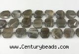 CNG8810 15.5 inches 16mm - 20mm faceted freeform moonstone beads