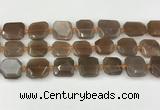 CNG8811 15.5 inches 16mm - 20mm faceted freeform moonstone beads