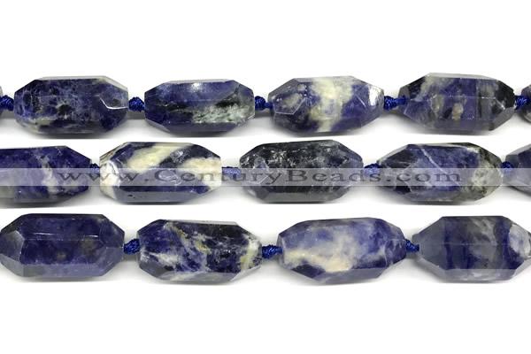 CNG8941 15*30mm - 16*38mm faceted nuggets sodalite beads