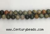 CNI373 15.5 inches 12mm round American picture jasper beads