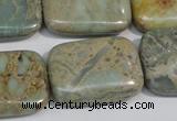 CNS257 15.5 inches 22*30mm rectangle natural serpentine jasper beads