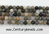 COP1602 15.5 inches 8mm round moss opal beads wholesale