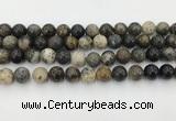 COP1603 15.5 inches 10mm round moss opal beads wholesale