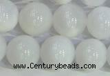 COP1617 15.5 inches 10mm round white opal gemstone beads