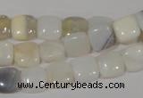 COP909 15.5 inches 10*10mm square natural white opal gemstone beads