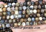 CPB1031 15.5 inches 8mm round pietersite beads wholesale