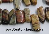 CPJ375 15.5 inches 8*14mm - 10*30mm picasso jasper chips beads