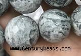 CPJ646 15.5 inches 16mm faceted round grey picture jasper beads