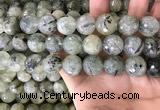 CPR356 15.5 inches 16mm faceted round prehnite beads wholesale