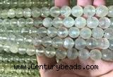 CPR363 15.5 inches 10mm faceted round prehnite gemstone beads