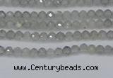 CRB1936 15.5 inches 2*3mm faceted rondelle labradorite beads