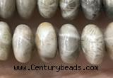 CRB5336 15.5 inches 5*8mm rondelle fossil coral beads wholesale