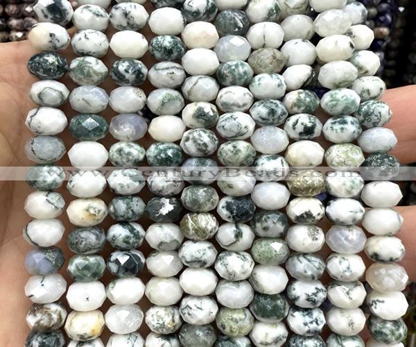 CRB6216 15 inches 5*8mm faceted rondelle tree agate beads