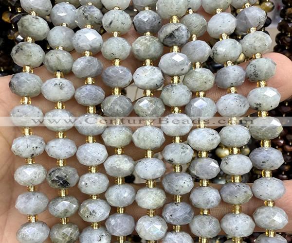 CRB6381 15 inches 6*10mm faceted rondelle labradorite beads