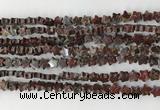 CRG30 15.5 inches 6mm flat star poppy jasper beads wholesale