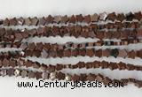 CRG32 15.5 inches 6mm flat star mahogany obsidian beads wholesale