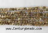 CRG33 15.5 inches 6mm flat star picture jasper beads wholesale