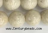 CRJ623 15.5 inches 10mm round white fossil jasper beads wholesale