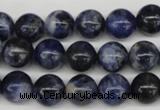 CRO239 15.5 inches 10mm round sodalite gemstone beads wholesale