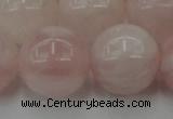 CRQ676 15.5 inches 16mm round rose quartz beads wholesale