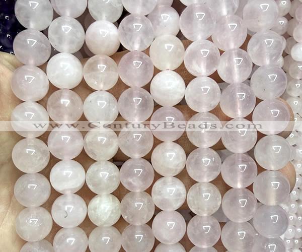 CRQ925 15 inches 10mm round natural rose quartz beads wholesale