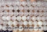 CRQ925 15 inches 10mm round natural rose quartz beads wholesale