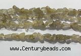 CRU929 15.5 inches 6*8mm - 10*12mm chips golden rutilated quartz beads